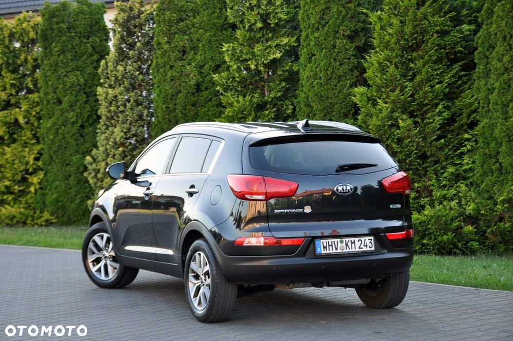 Kia Sportage - 14