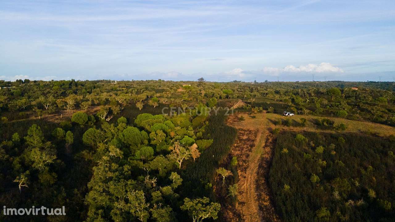 Terreno, 57 000 m², Santiago do Cacém, Santa Cruz e São Bartolomeu da Serra - Grande imagem: 5/7