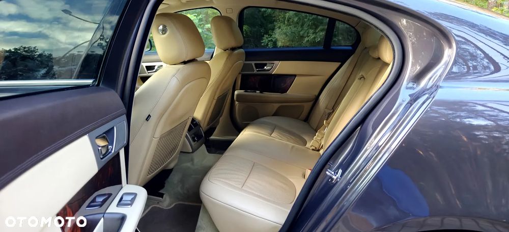 Jaguar XF 3.0 V6 D Luxury - 16