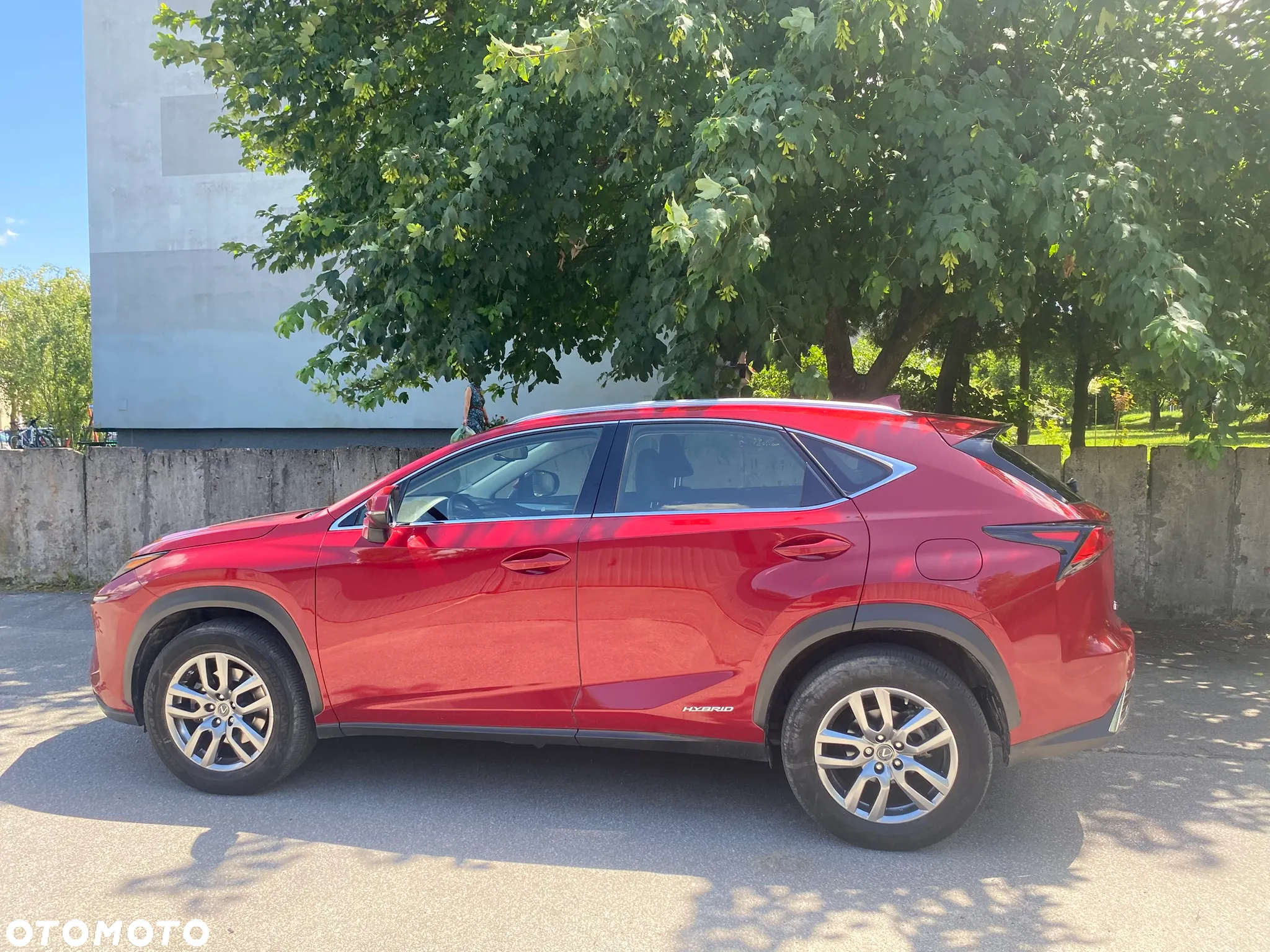 Lexus NX 300h Elegance AWD - 9