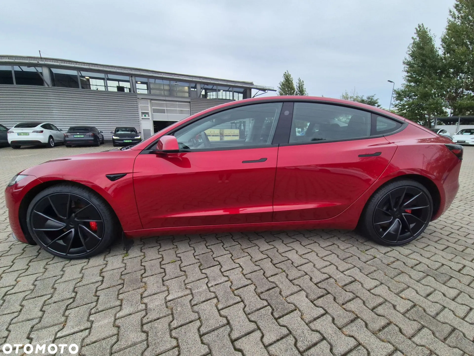 Tesla Model 3 Performance AWD - 3