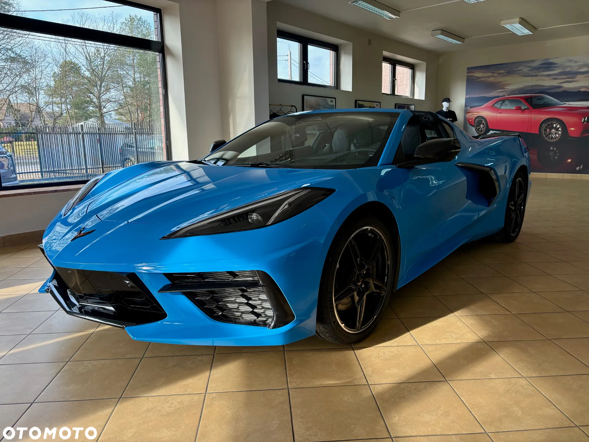 Chevrolet Corvette - 22