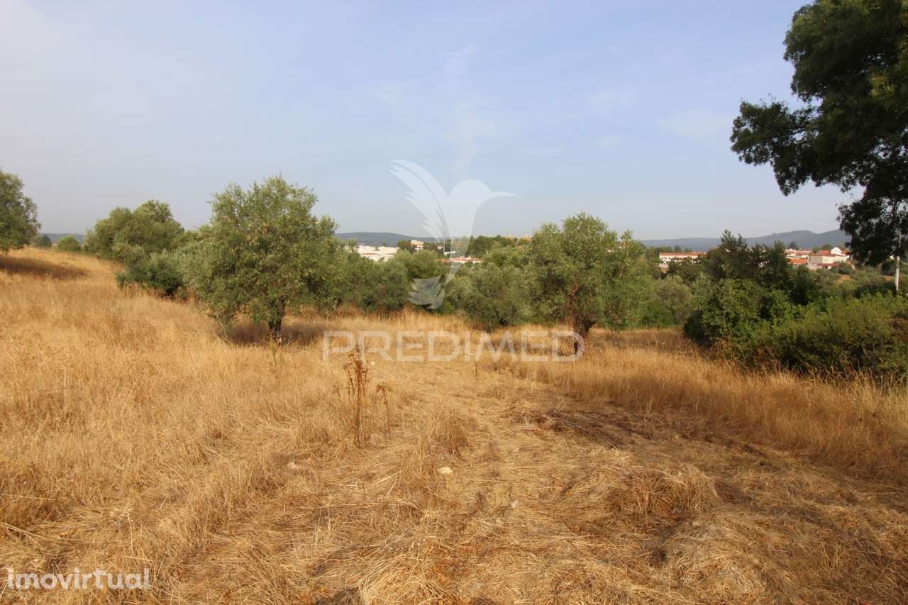 Terreno Misto - Pousados, Alcanena - Grande imagem: 3/16