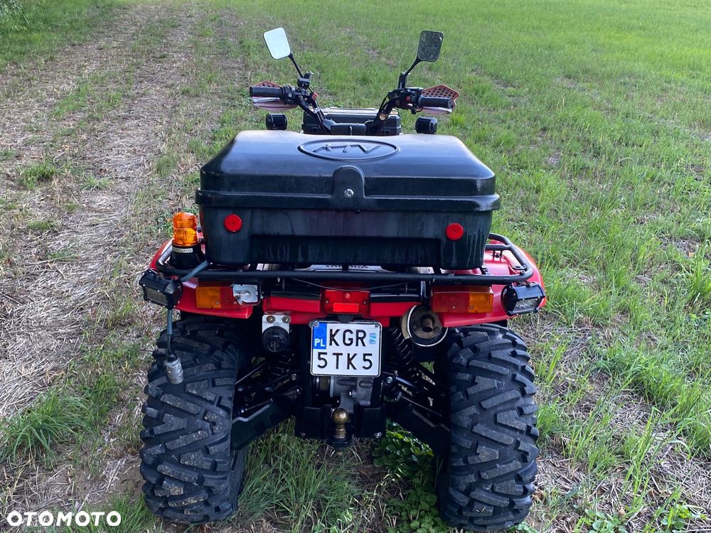 Yamaha Grizzly - 21