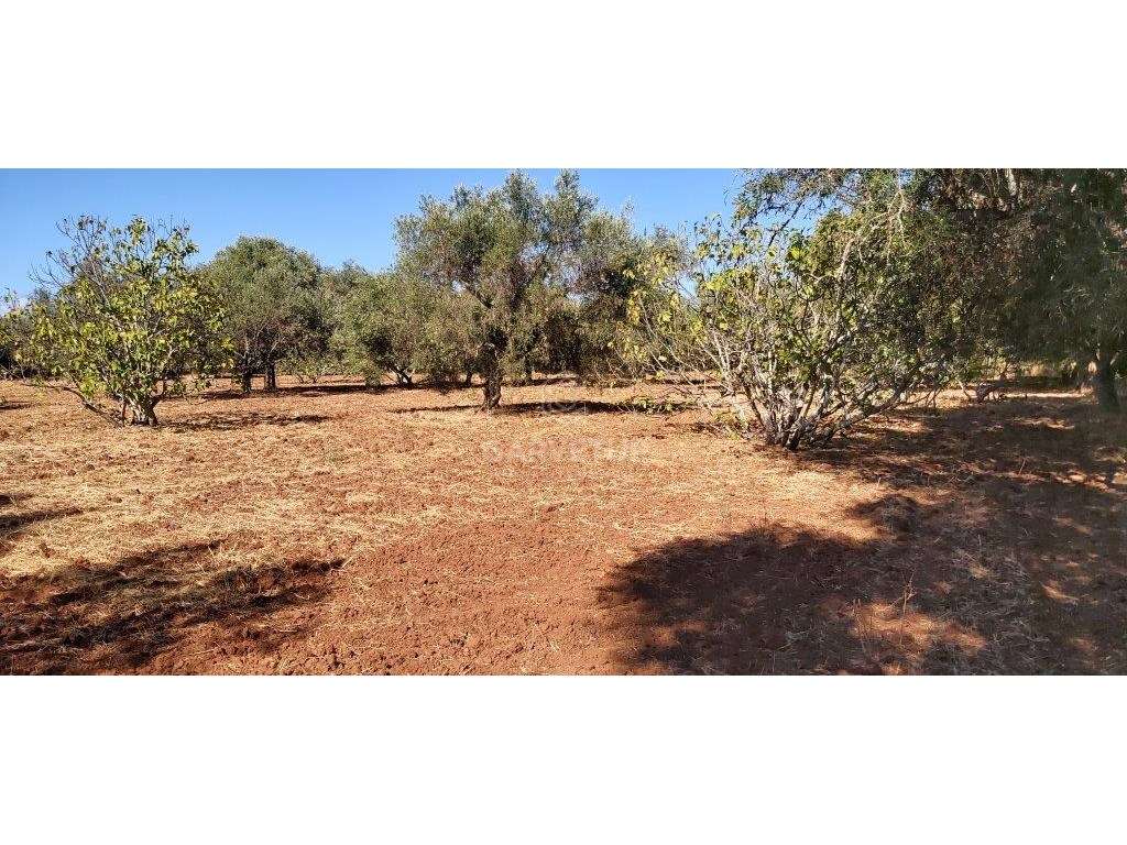 Terreno rústico, em zona agrícola, Ribeira de Alte, Paderne, Albufe... - Grande imagem: 4/25