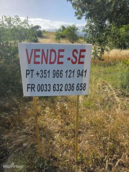 Vende-se Terreno 16 000 m2 - Mata - Torres Novas - Grande imagem: 2/7