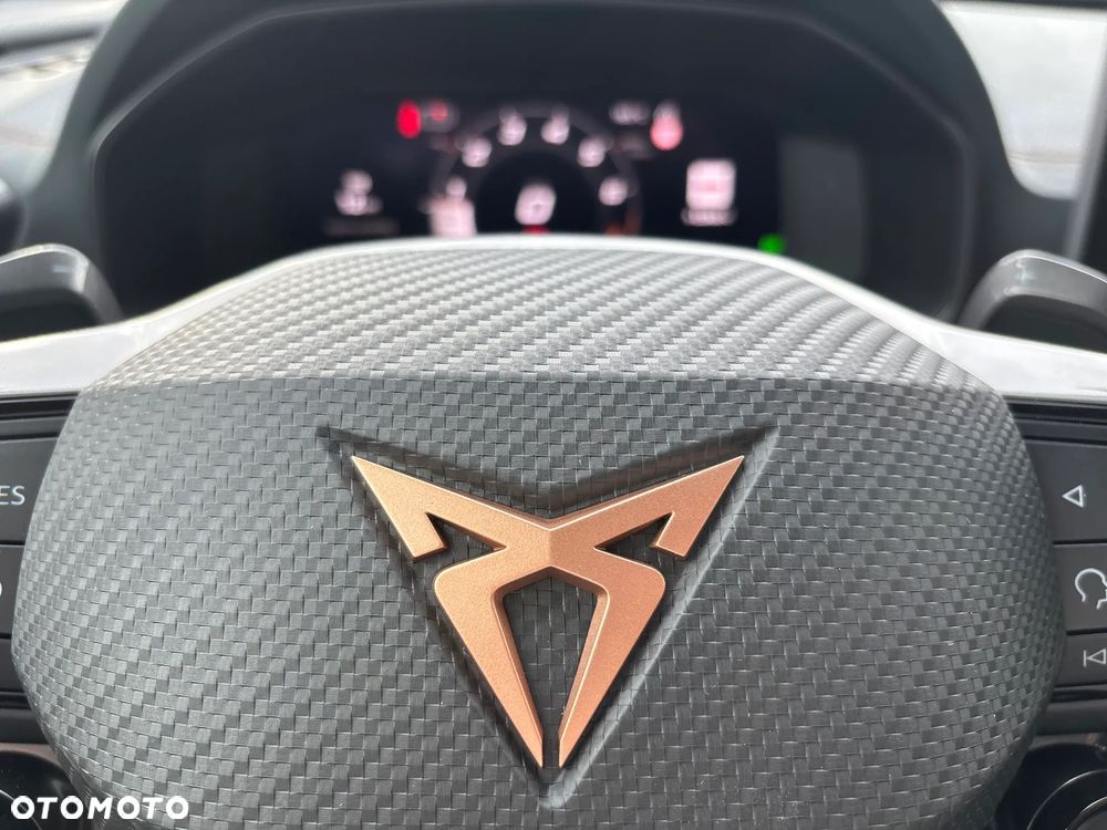 Cupra Formentor 2.5 TSI 4Drive VZ5 DSG - 25