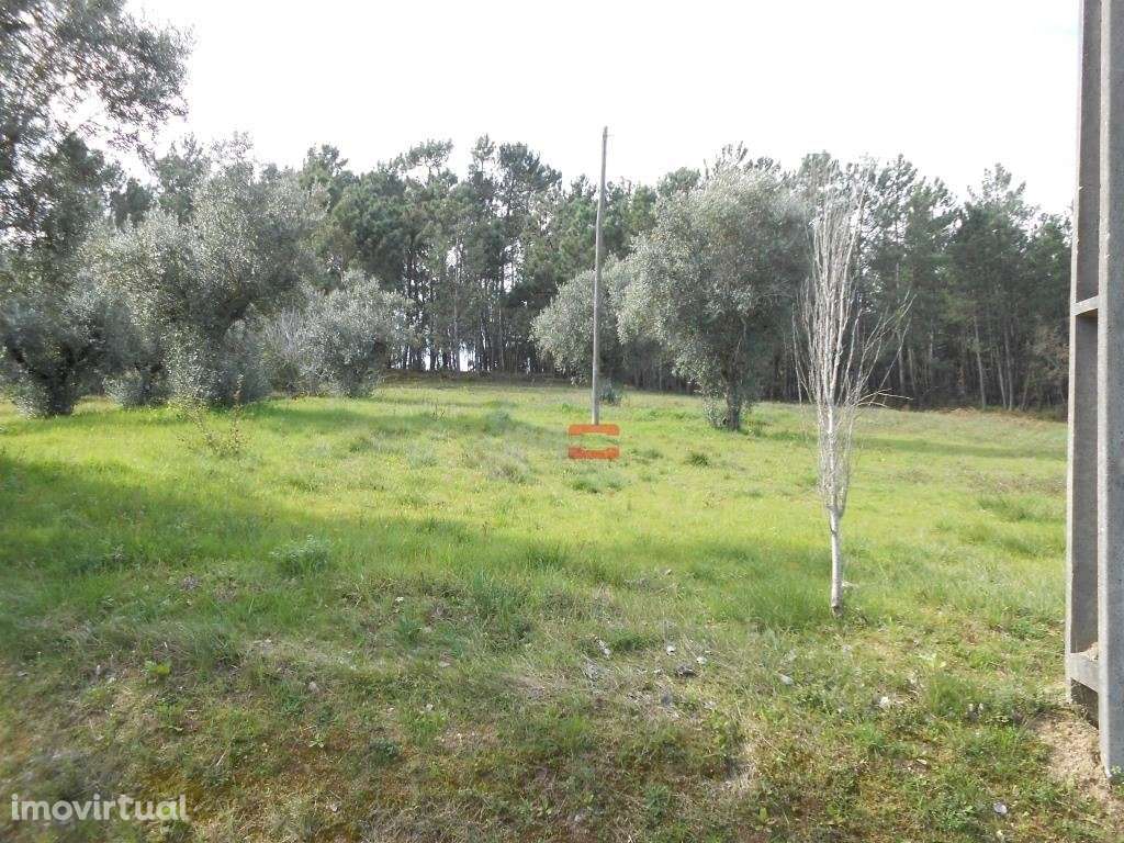 Terreno - Grande imagem: 4/9