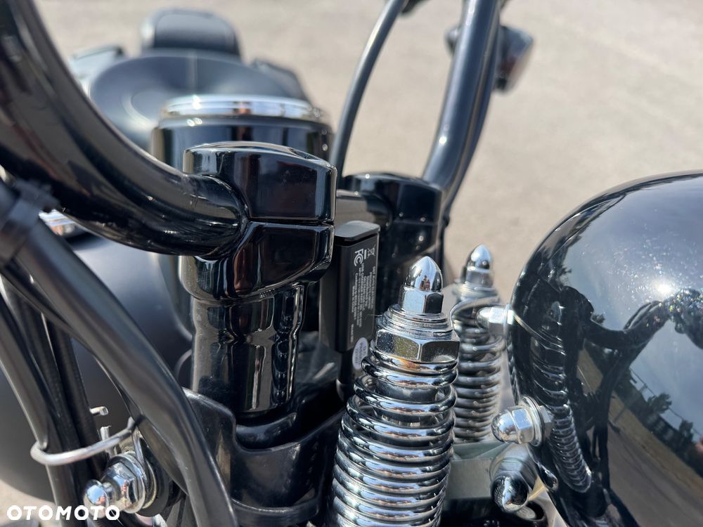 Harley-Davidson Softail Cross Bones - 7