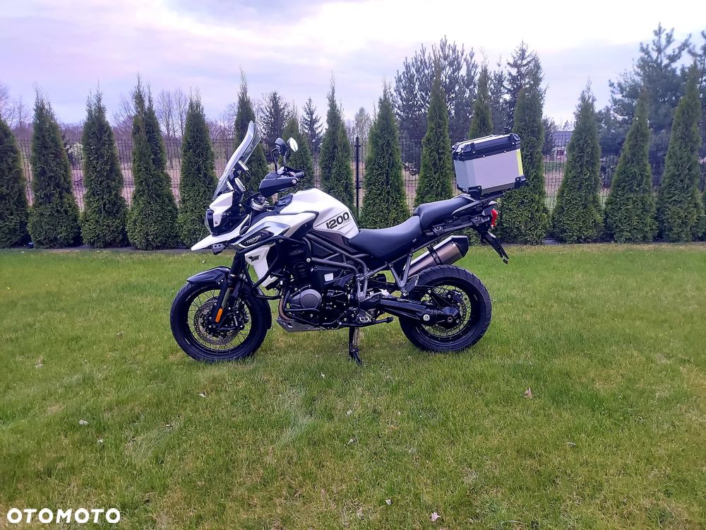 Triumph Tiger - 8