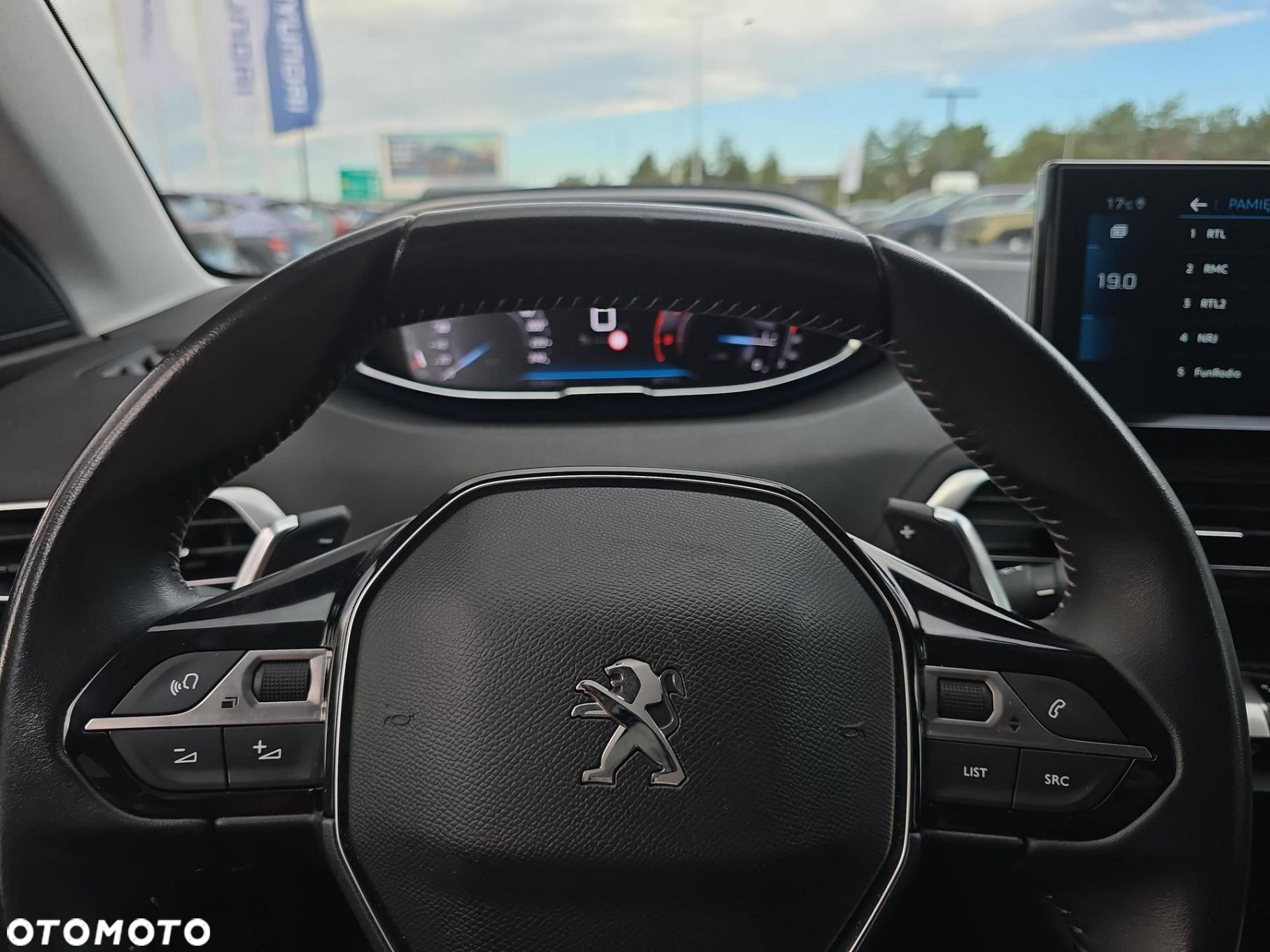Peugeot 3008 - 18