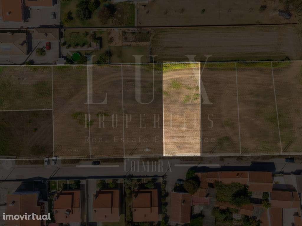 Terreno | Lote 5 | Avanca, Estarreja - Grande imagem: 4/13