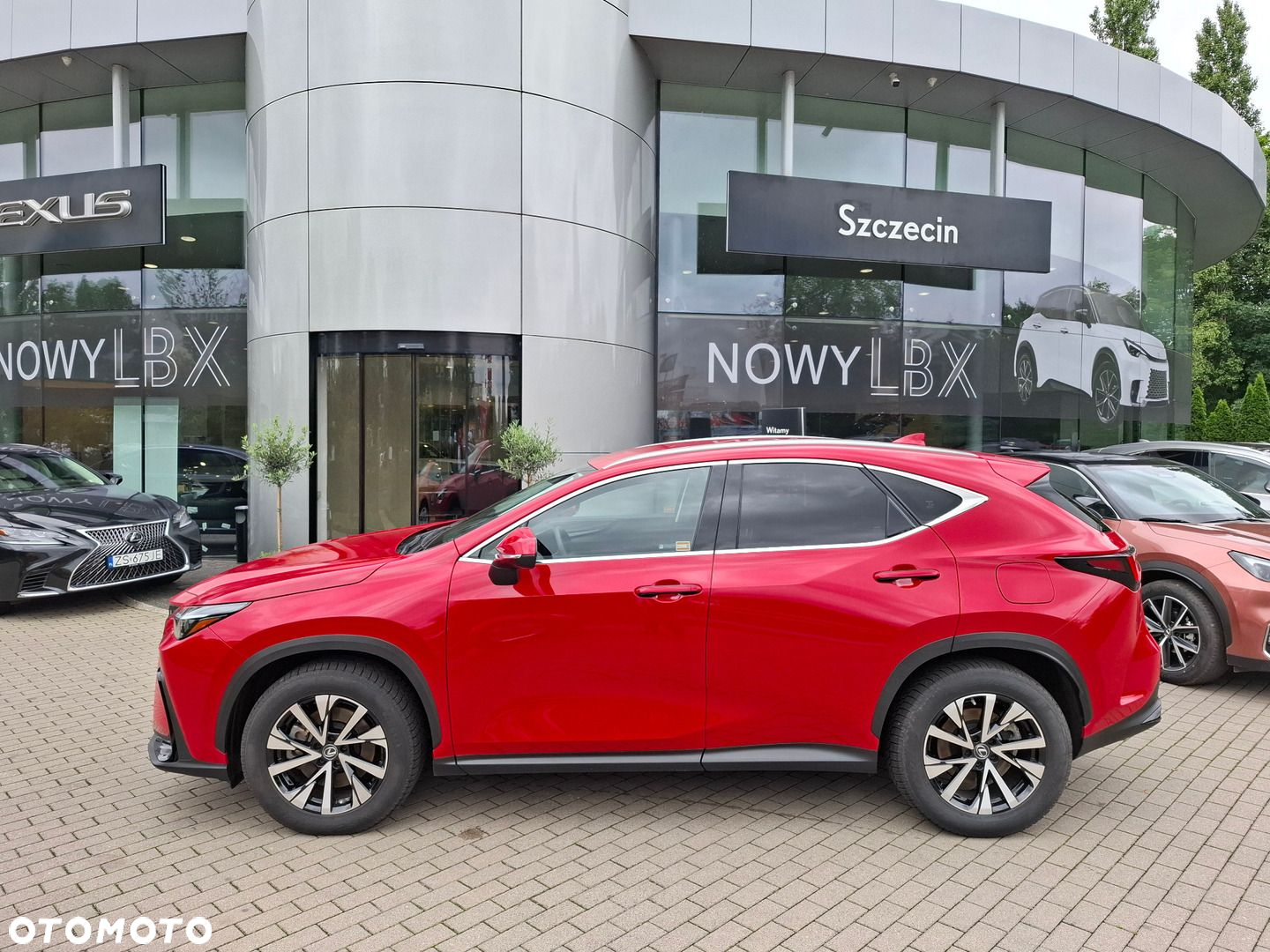 Lexus NX - 2
