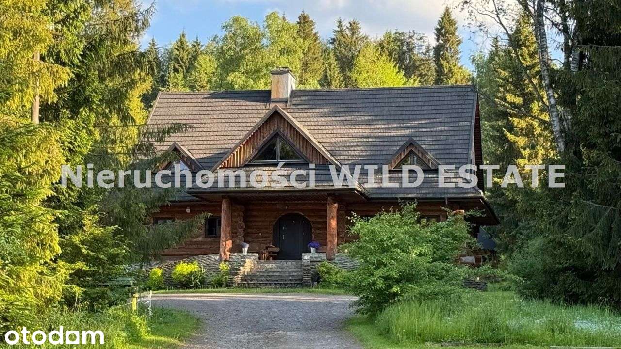 Lokal użytkowy, 8 000 m², Strzebowiska - Pełny obrazek: 2/14