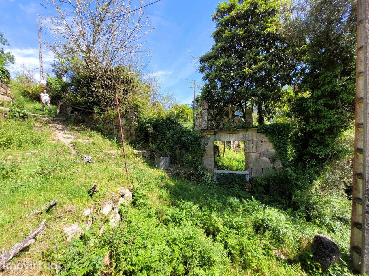 Moradia T2 Venda em Cinfães,Cinfães - Grande imagem: 4/9