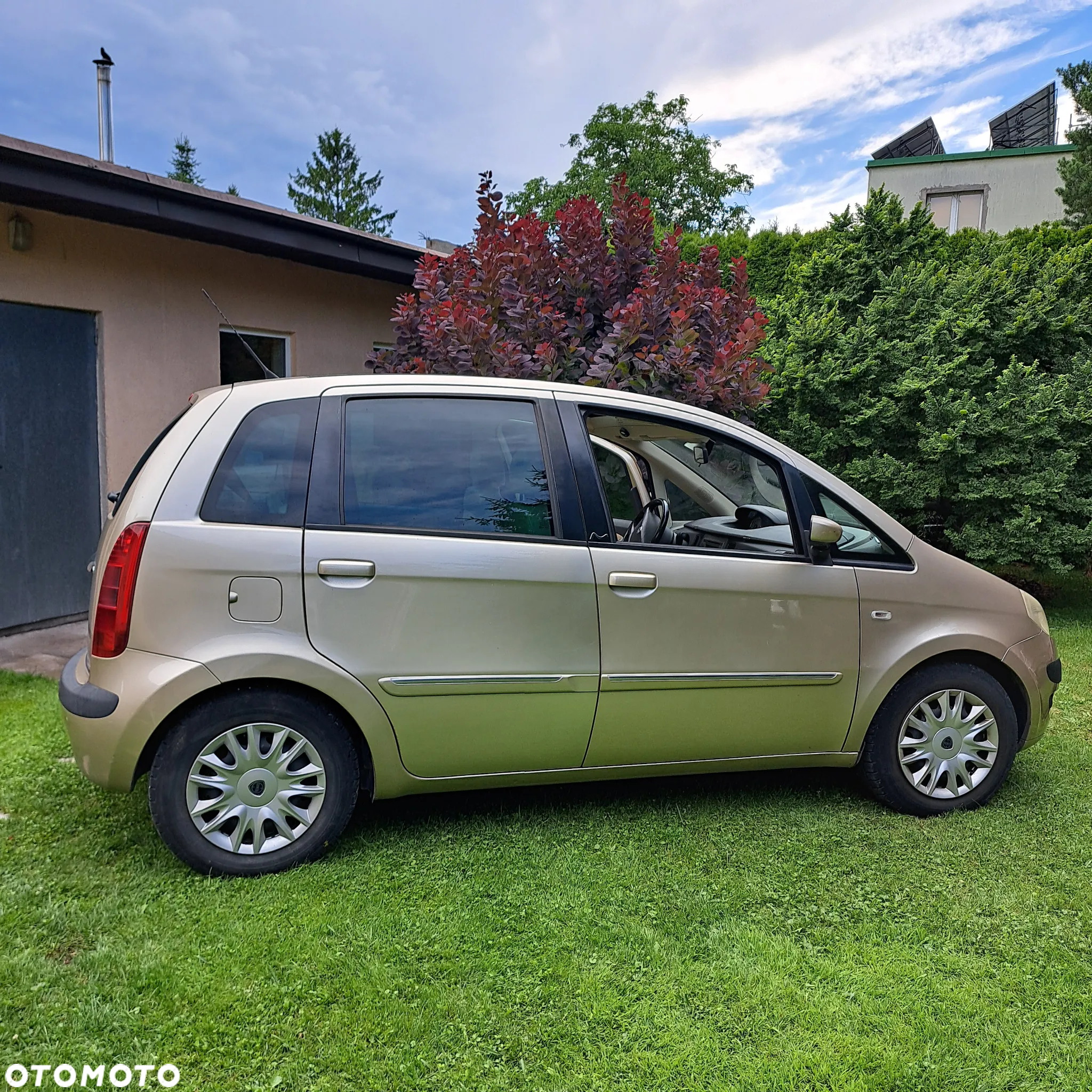 Lancia Musa - 2