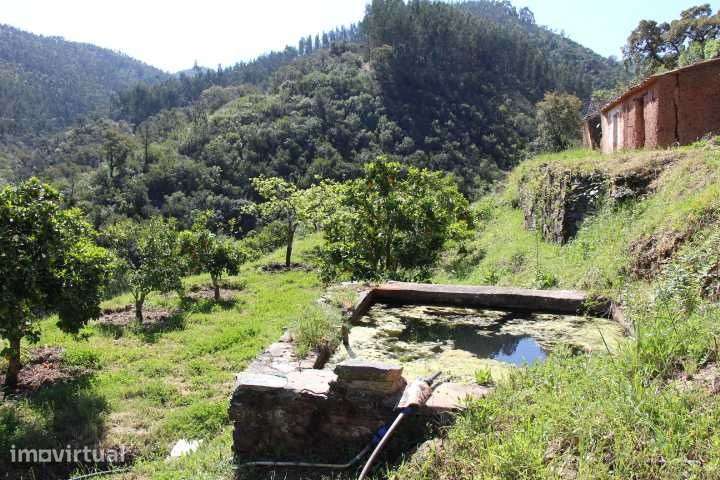 Quinta,3ruinas,Agua,hortas,Paz e privacidade - Grande imagem: 2/12