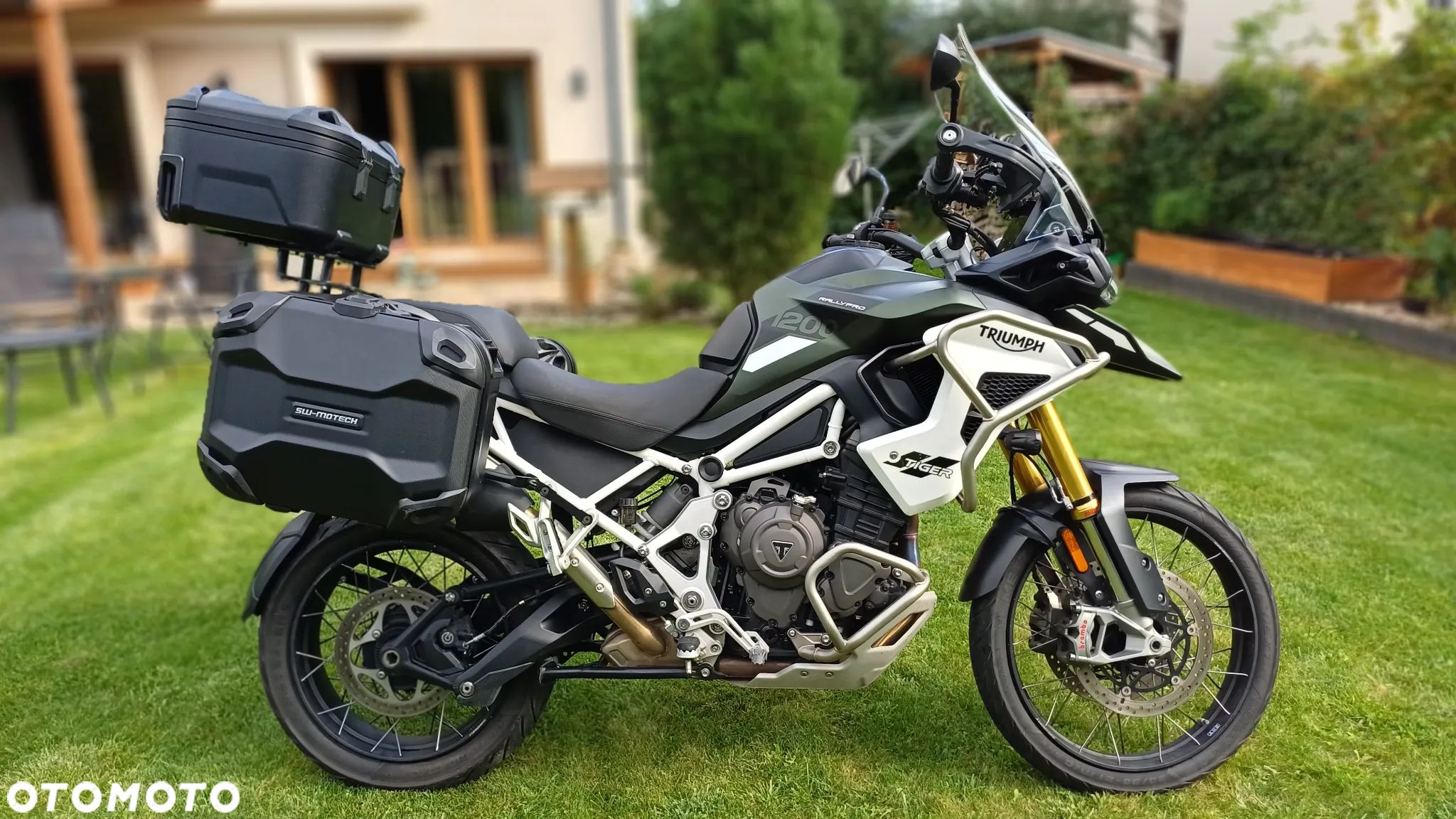 Triumph Tiger