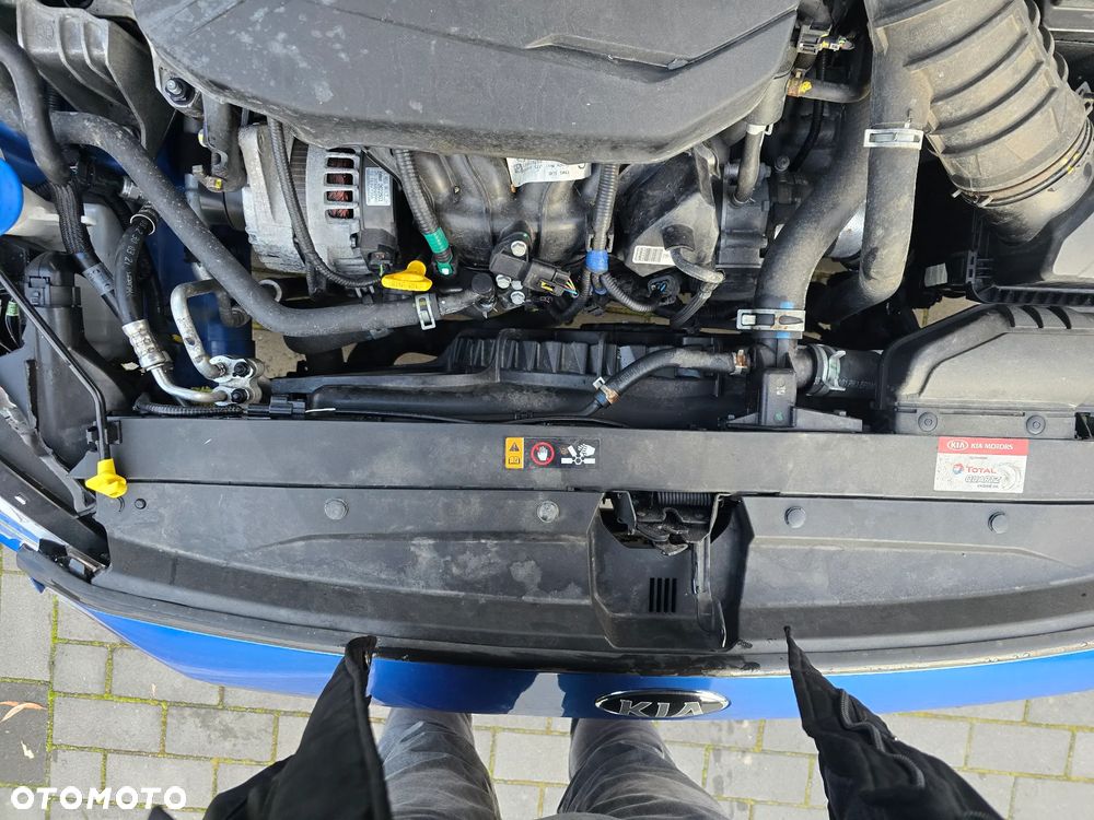 Kia ProCeed 1.6 T-GDI DCT7 OPF GT - 19