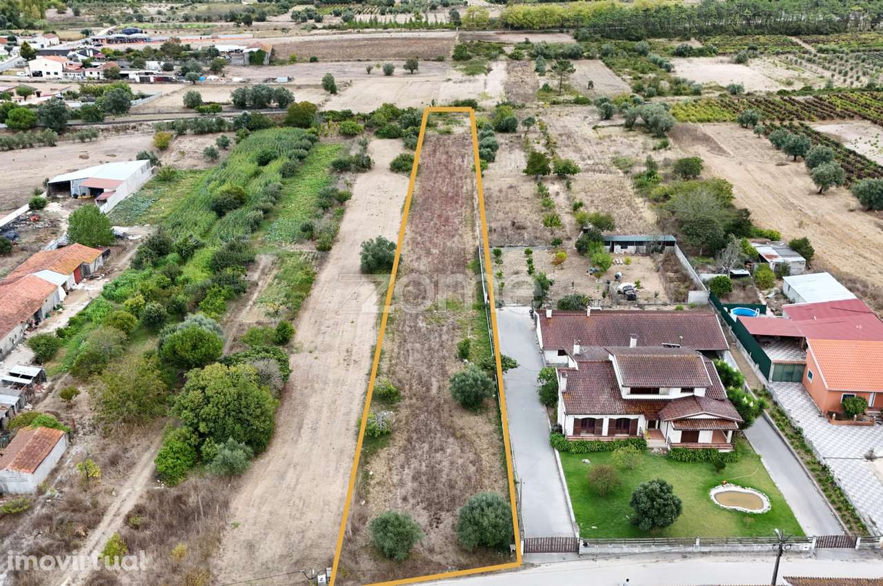 Terreno Cadima - Grande imagem: 4/15