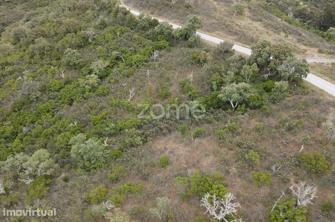 Terreno Rústico com 11.000m2 em Monte Velho, São Barnabé - Grande imagem: 2/10