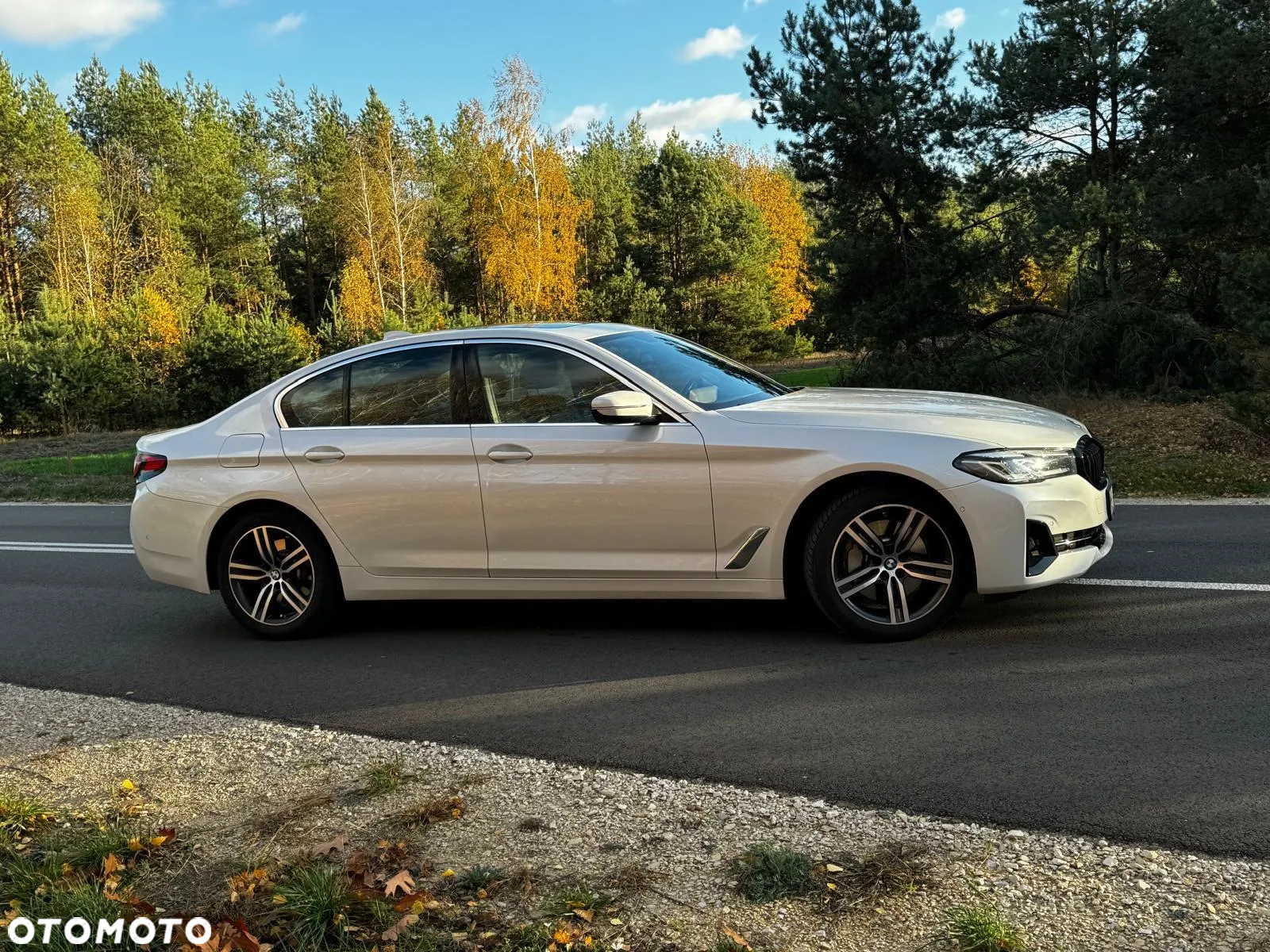 BMW Seria 5 ver-530e-luxury-line-sport - 5