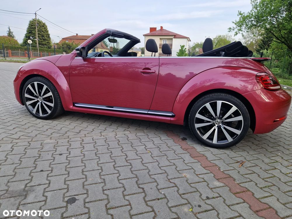 Volkswagen Beetle - 3