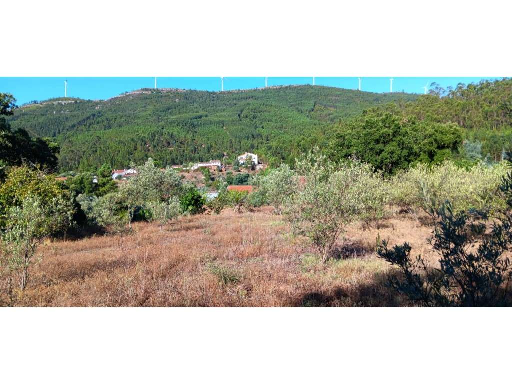 Terreno Agrícola/Florestal com construção rural a 10 Km da vila de ... - Grande imagem: 5/29