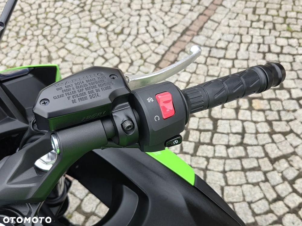 Kawasaki Ninja - 19