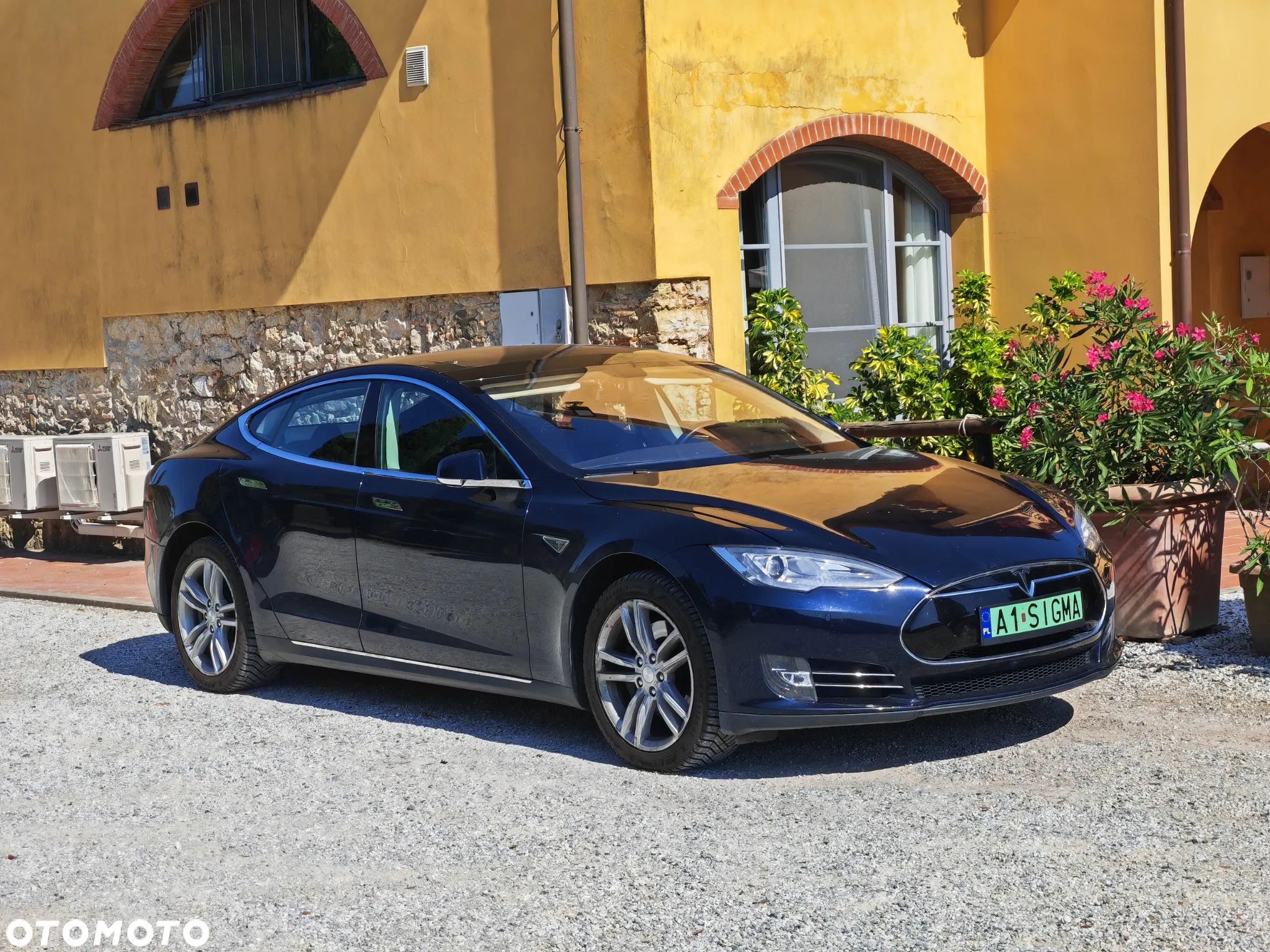 Tesla Model S Performance - 1