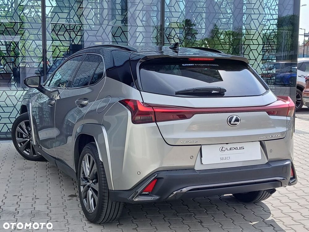 Lexus UX 300h F Sport AWD - 12