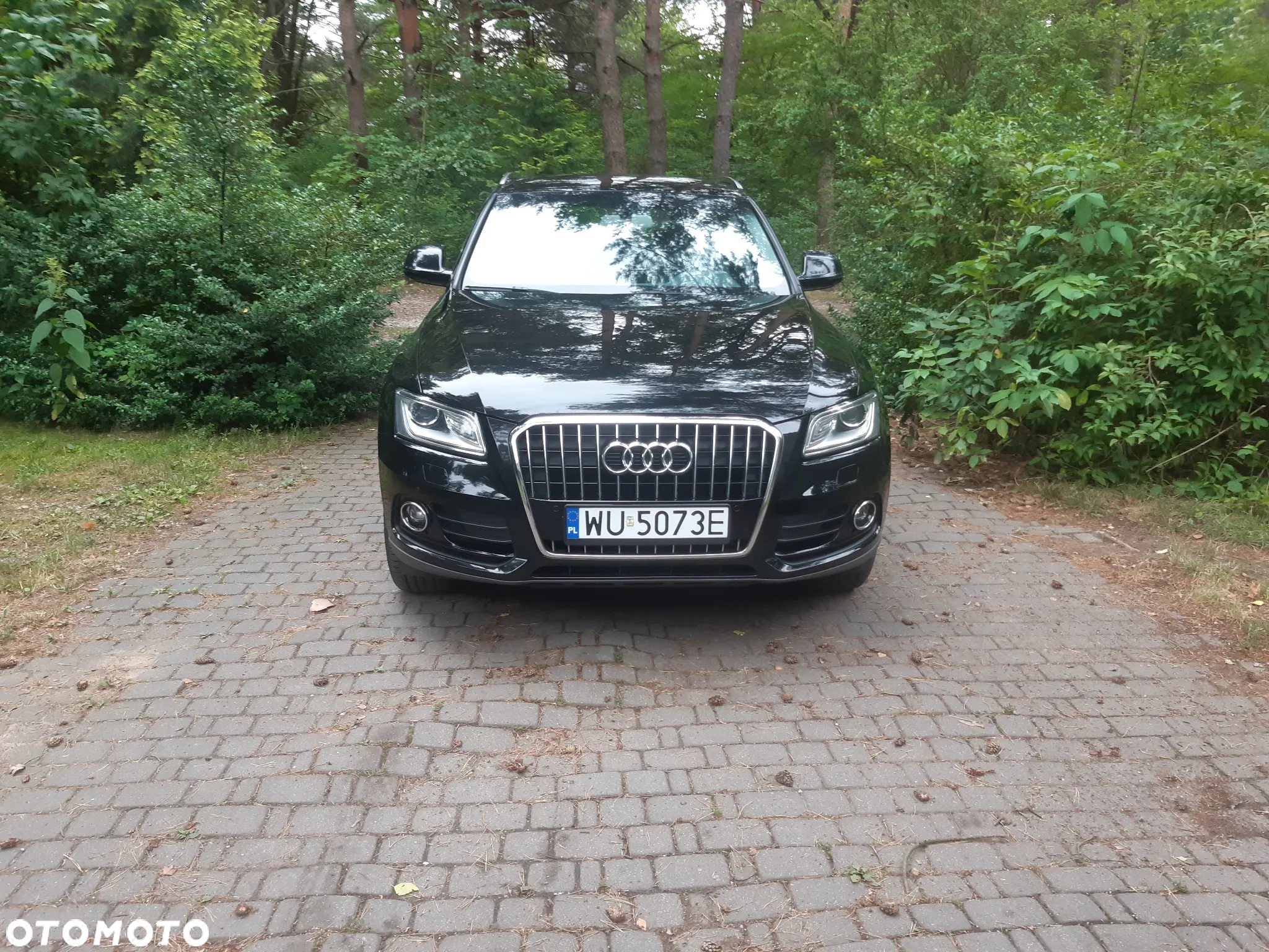 Audi Q5 2.0 TDI clean diesel Quattro S tronic - 2