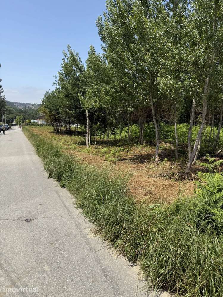 Terreno plano para construção - Grande imagem: 3/5