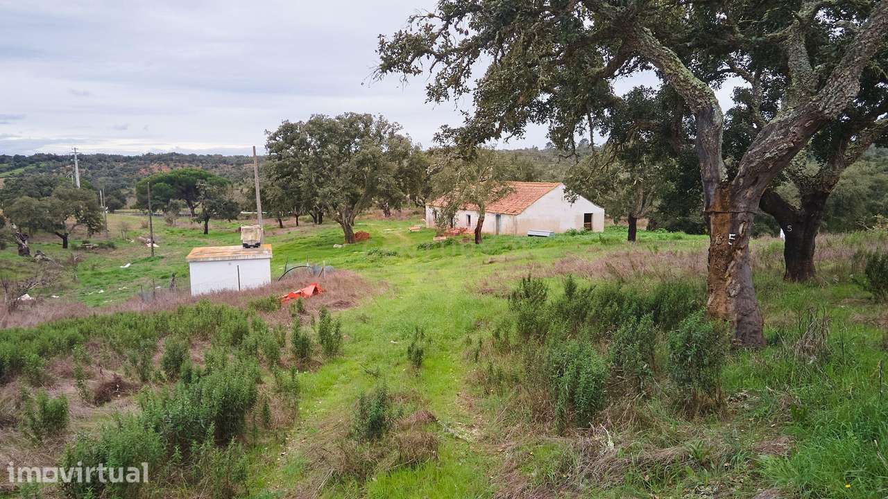 Terreno, 88 m², Abela - Grande imagem: 4/60