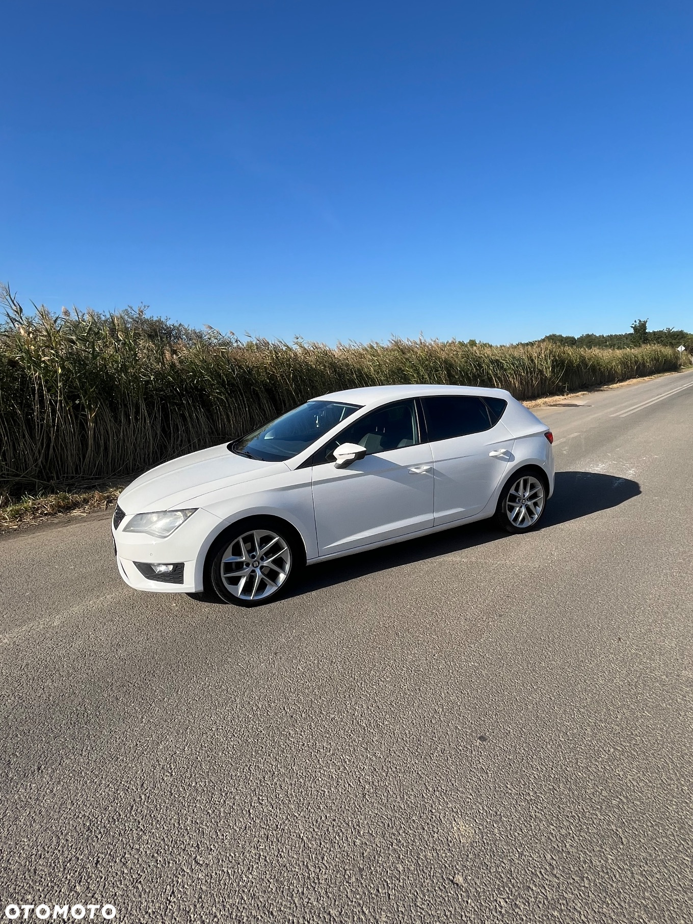 Seat Leon 2.0 TDI DPF FR - 2