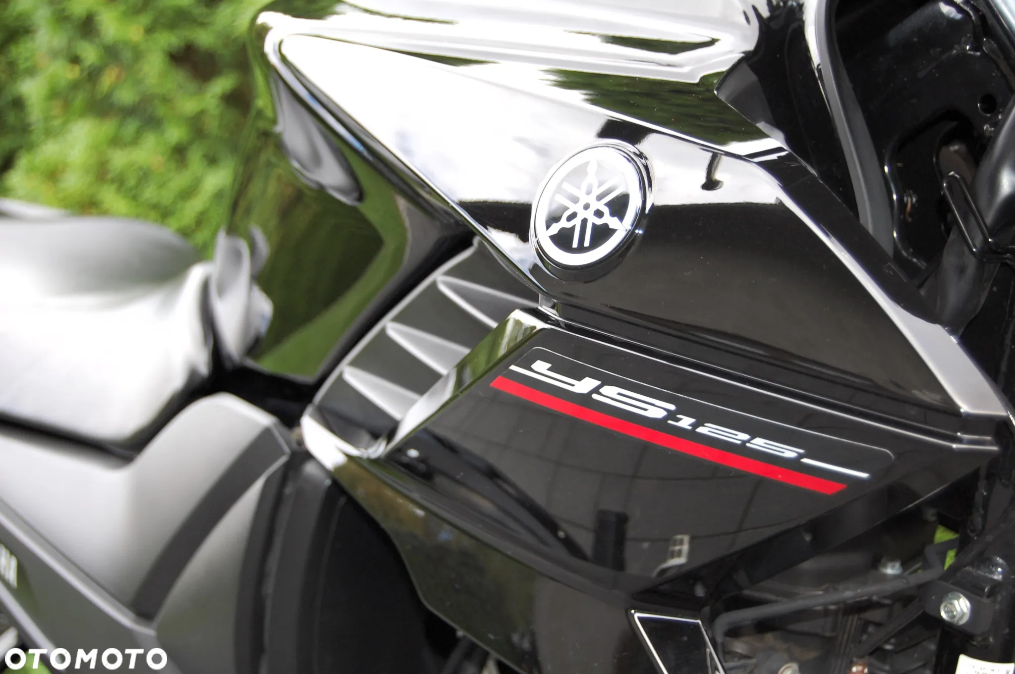 Yamaha YS - 10