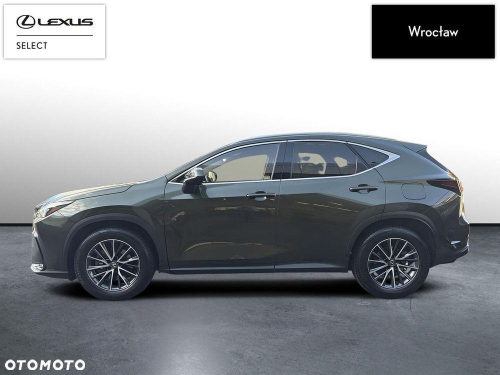 Lexus NX 350h Prestige 2WD - 3