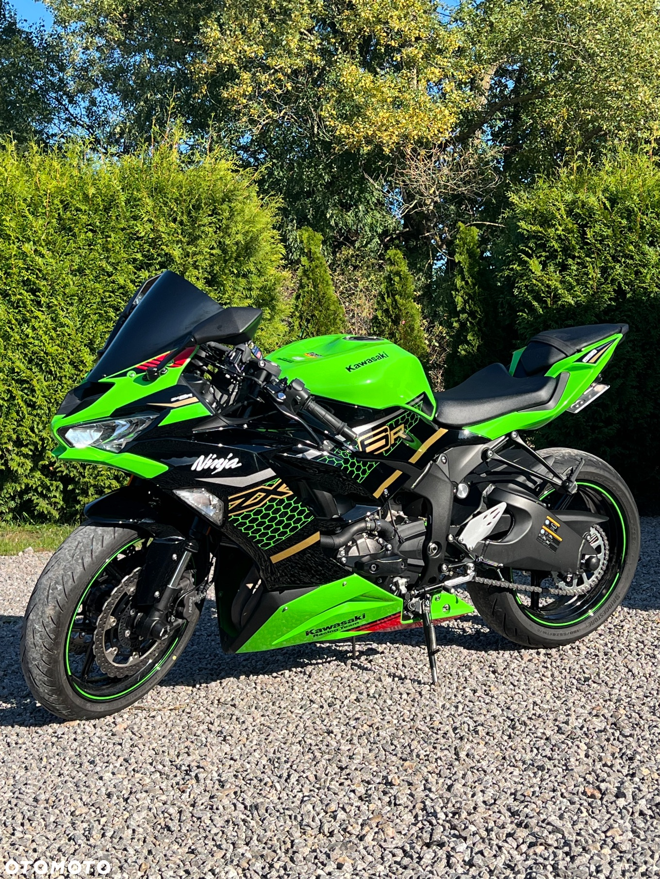 Kawasaki ZXR - 22