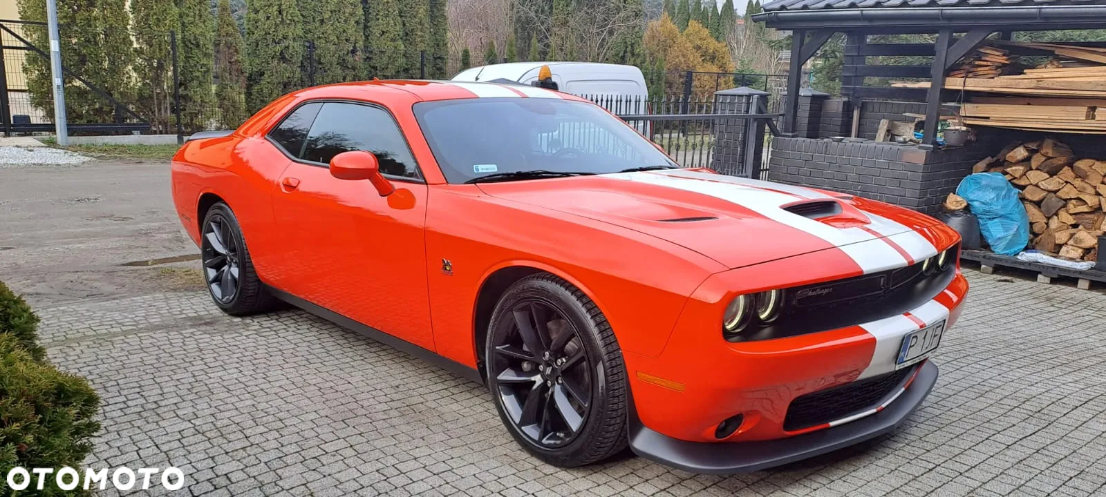 Dodge Challenger Automatik SRT 392 - 11
