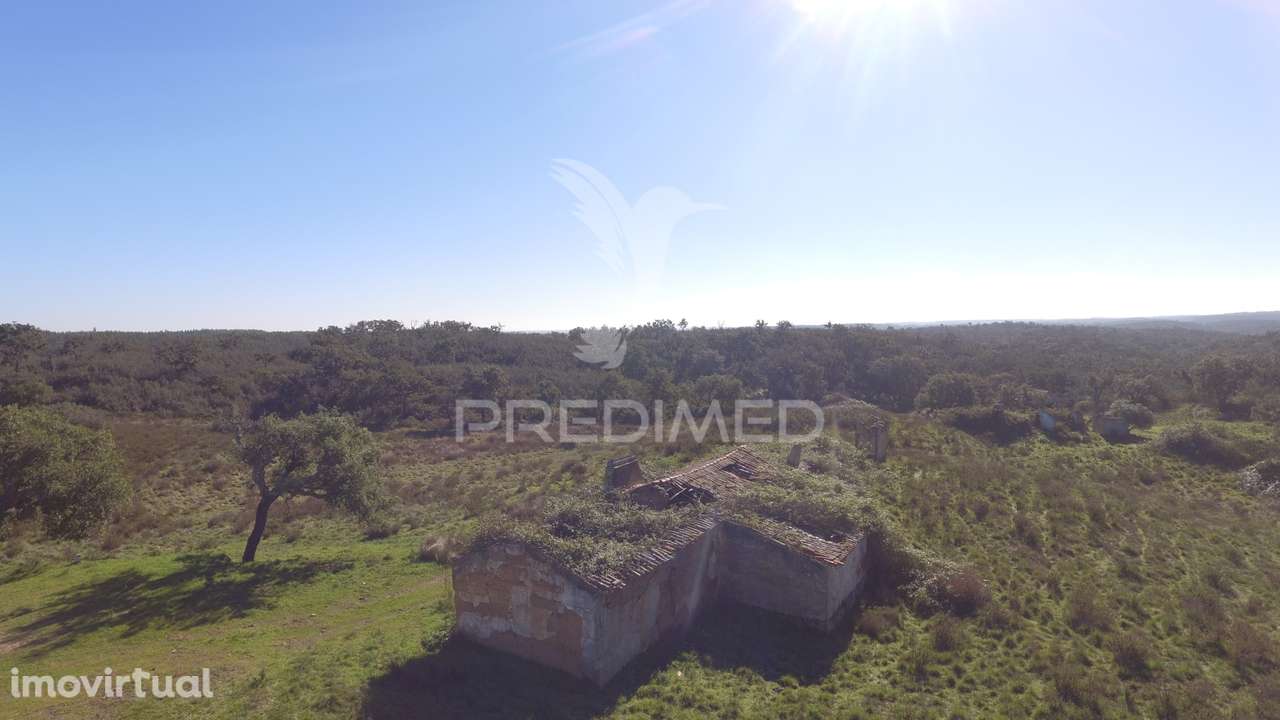 Herdade com 71 hectares e ruína de 174m2 - Grande imagem: 4/21
