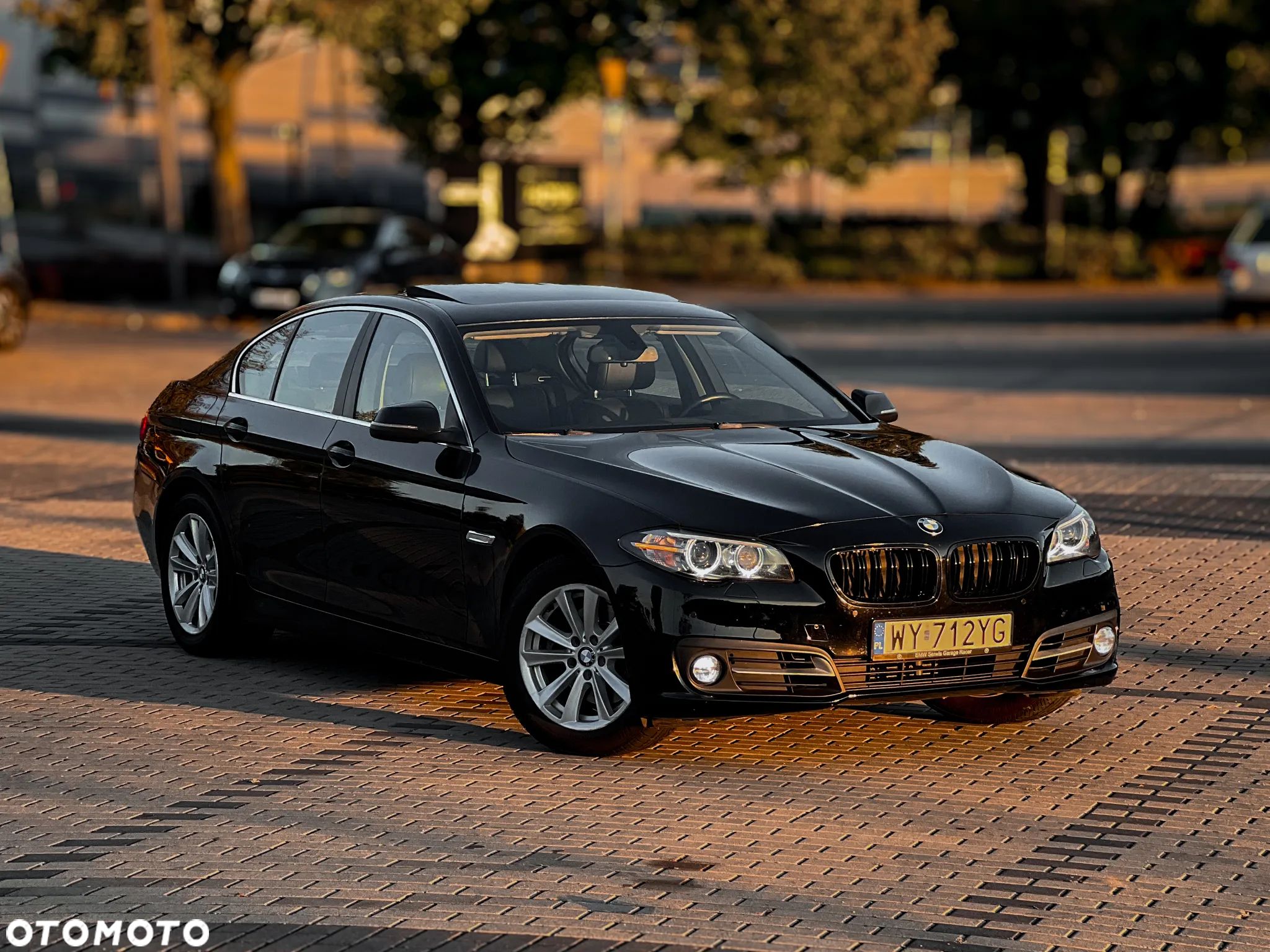 BMW Seria 5 528i xDrive Luxury Line - 1