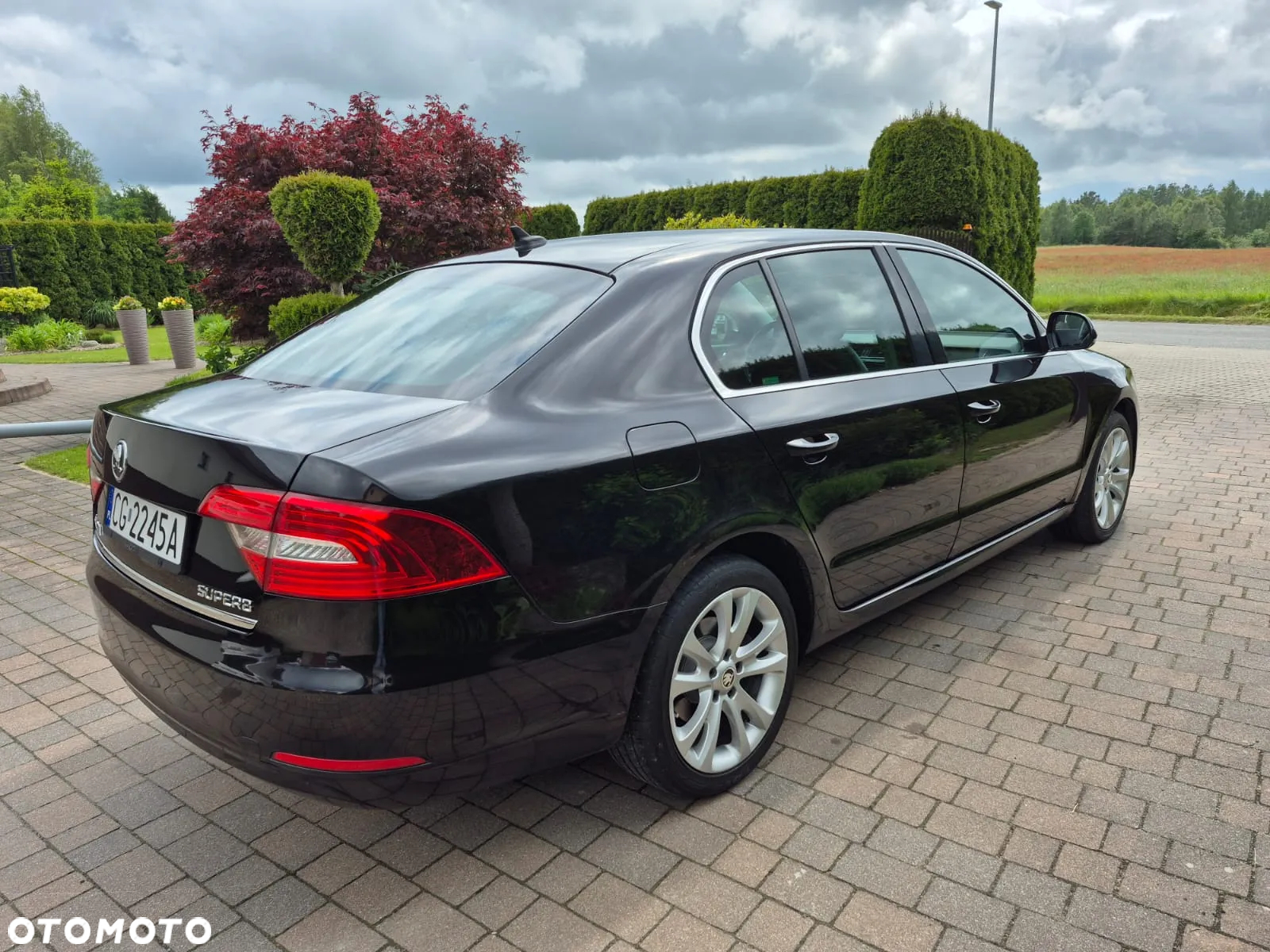 Skoda Superb 2.0 TDI Business DSG - 6