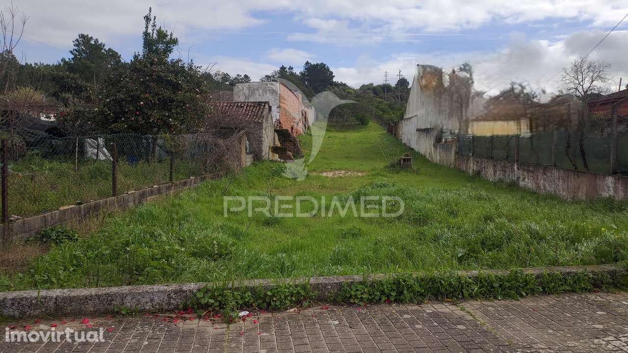 Terreno Urbano - Prédio Misto 4440 m2 - Carregueira - Chamusca - Grande imagem: 3/8