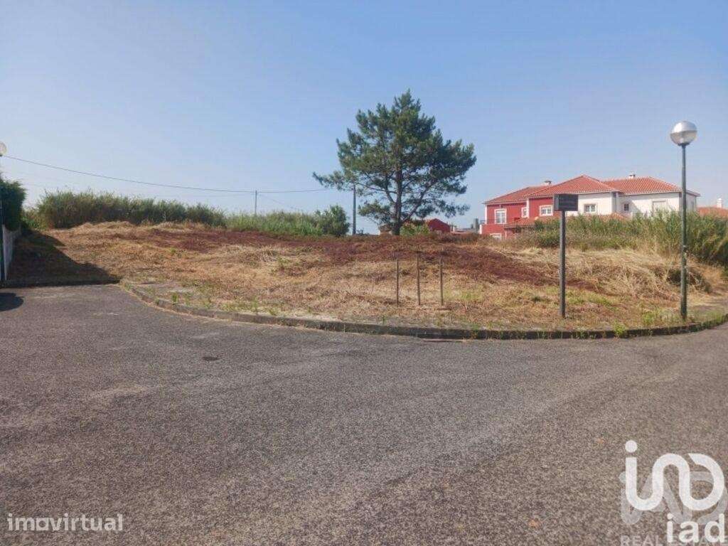 Terreno para construção em Lourinhã e Atalaia - Grande imagem: 3/17