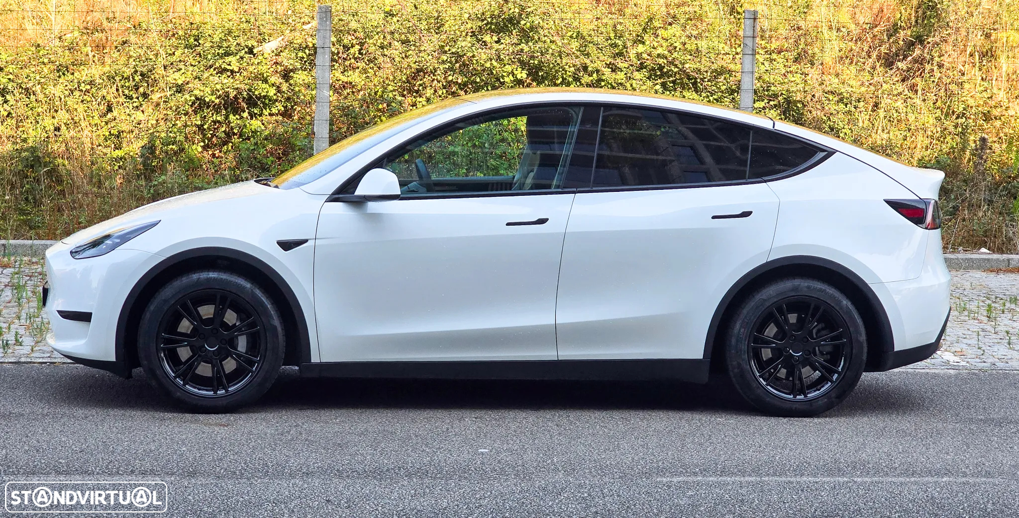 Tesla Model Y RWD - 2