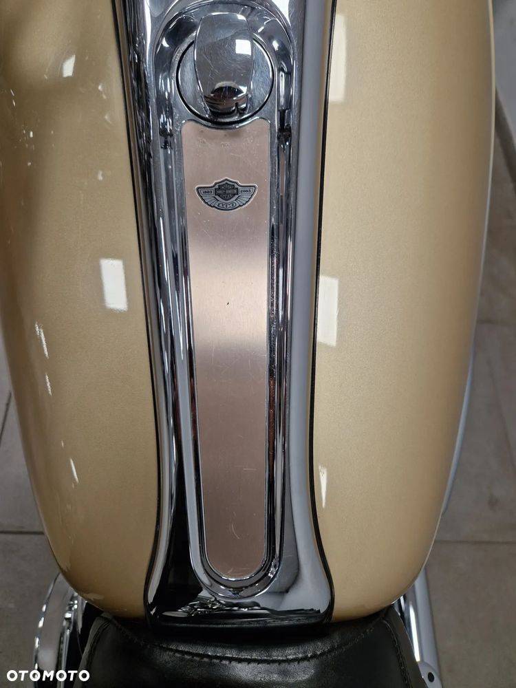 Harley-Davidson Softail Custom - 13