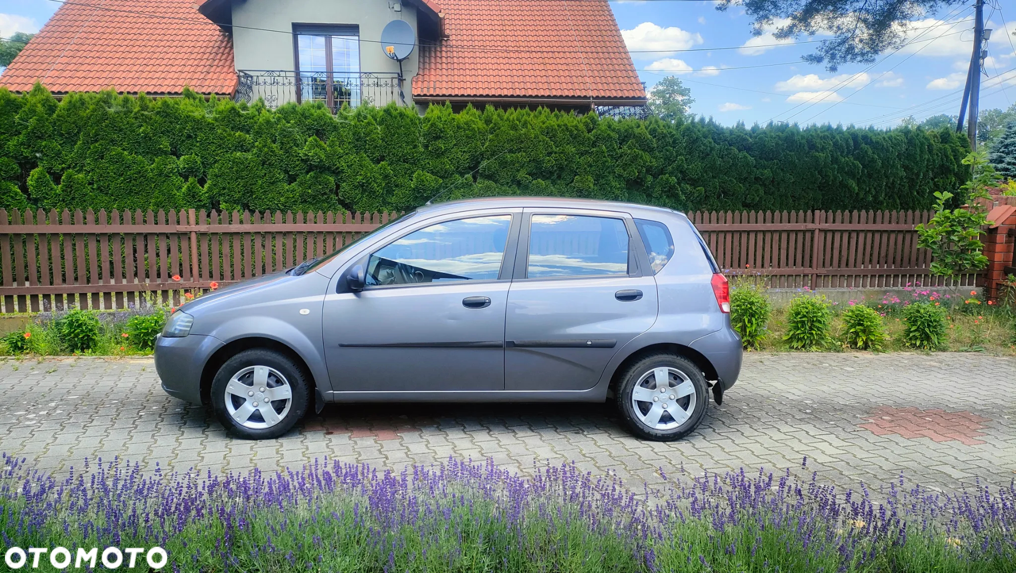 Chevrolet Aveo - 3