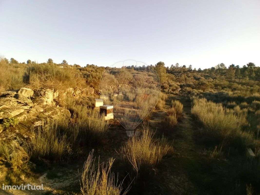 Terreno  para venda - Grande imagem: 3/5