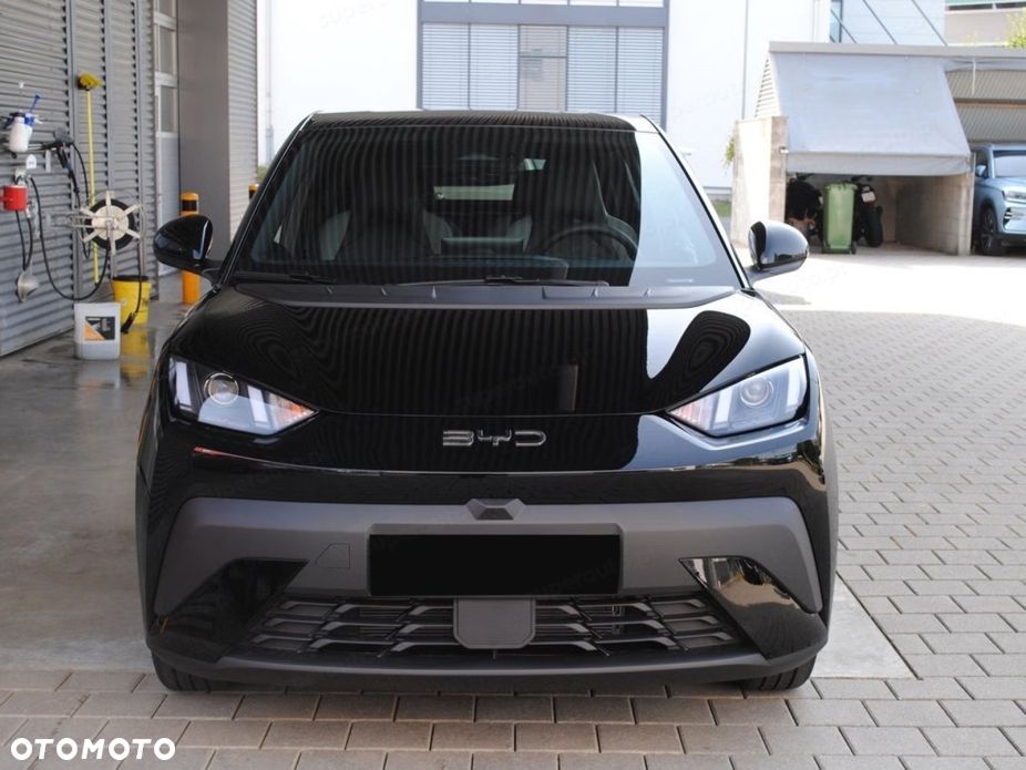 BYD Dolphin Surf - 8