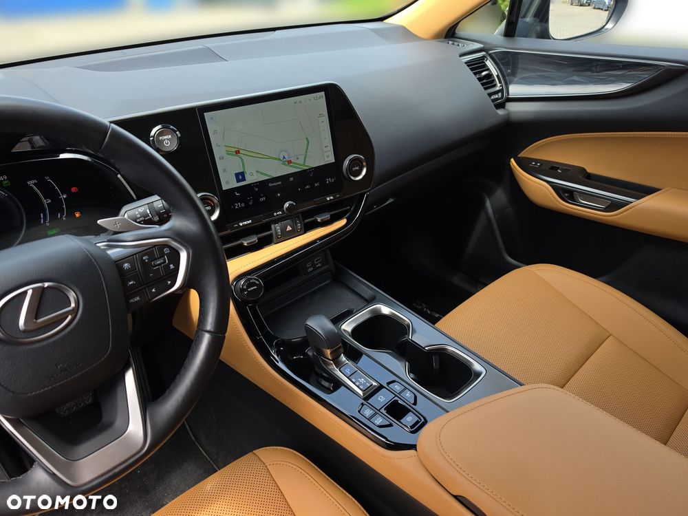 Lexus NX - 13